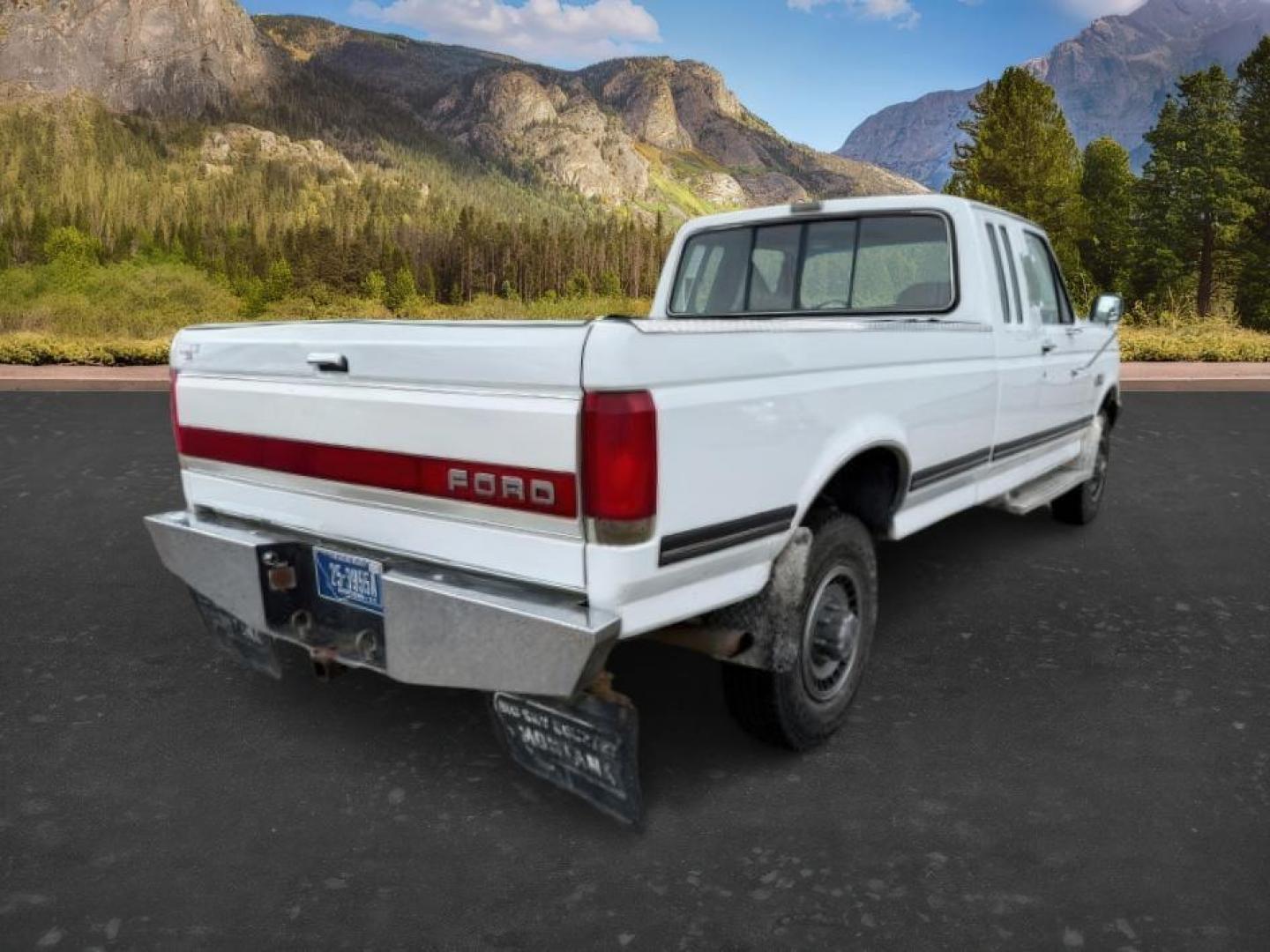 1990 WHITE /CLOTH Ford F-250 XLT (1FTHX26M2LK) with an 7.3L V-8 diesel direct injection engine, AUTOMATIC transmission, located at 1235 N Woodruff Ave., Idaho Falls, 83401, (208) 523-1053, 43.507172, -112.000488 - At Timberline Auto, finding a great deal on your next vehicle is always easy! Our experienced sales staff's goal is to help find you the right vehicle at the right price! Our knowledgeable finance department has options for almost any credit score. We offer extended service contract options to prote - Photo#5