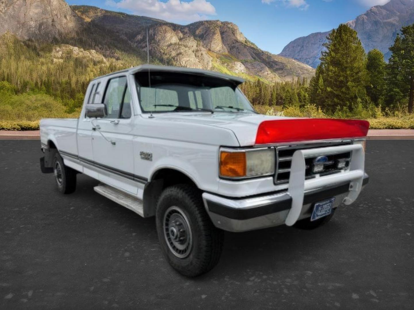 1990 WHITE /CLOTH Ford F-250 XLT (1FTHX26M2LK) with an 7.3L V-8 diesel direct injection engine, AUTOMATIC transmission, located at 1235 N Woodruff Ave., Idaho Falls, 83401, (208) 523-1053, 43.507172, -112.000488 - At Timberline Auto, finding a great deal on your next vehicle is always easy! Our experienced sales staff's goal is to help find you the right vehicle at the right price! Our knowledgeable finance department has options for almost any credit score. We offer extended service contract options to prote - Photo#7