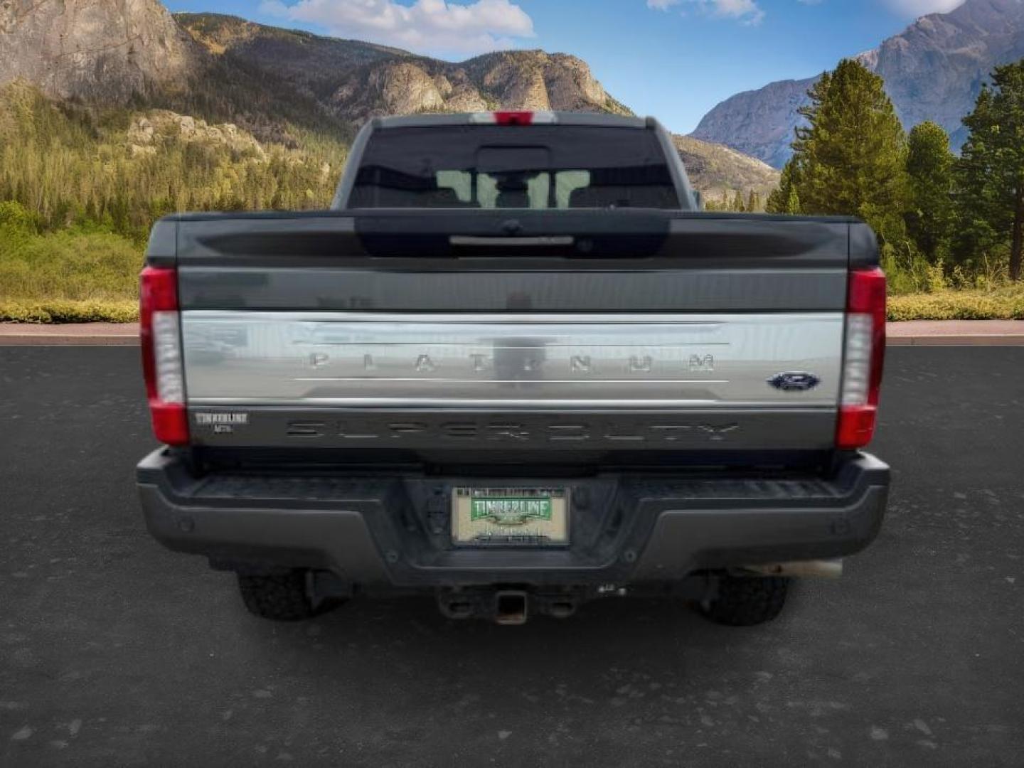 2019 GRAY /Black Ford F-350 Platinum (1FT8W3BT6KE) with an Powerstroke 6.7L V-8 diesel direct injection engine, AUTOMATIC transmission, located at 1235 N Woodruff Ave., Idaho Falls, 83401, (208) 523-1053, 43.507172, -112.000488 - At Timberline Auto, finding a great deal on your next vehicle is always easy! Our experienced sales staff's goal is to help find you the right vehicle at the right price! Our knowledgeable finance department has options for almost any credit score. We offer extended service contract options to prote - Photo#3