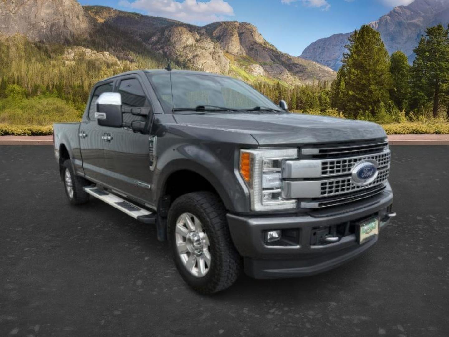 2019 GRAY /Black Ford F-350 Platinum (1FT8W3BT6KE) with an Powerstroke 6.7L V-8 diesel direct injection engine, AUTOMATIC transmission, located at 1235 N Woodruff Ave., Idaho Falls, 83401, (208) 523-1053, 43.507172, -112.000488 - At Timberline Auto, finding a great deal on your next vehicle is always easy! Our experienced sales staff's goal is to help find you the right vehicle at the right price! Our knowledgeable finance department has options for almost any credit score. We offer extended service contract options to prote - Photo#7