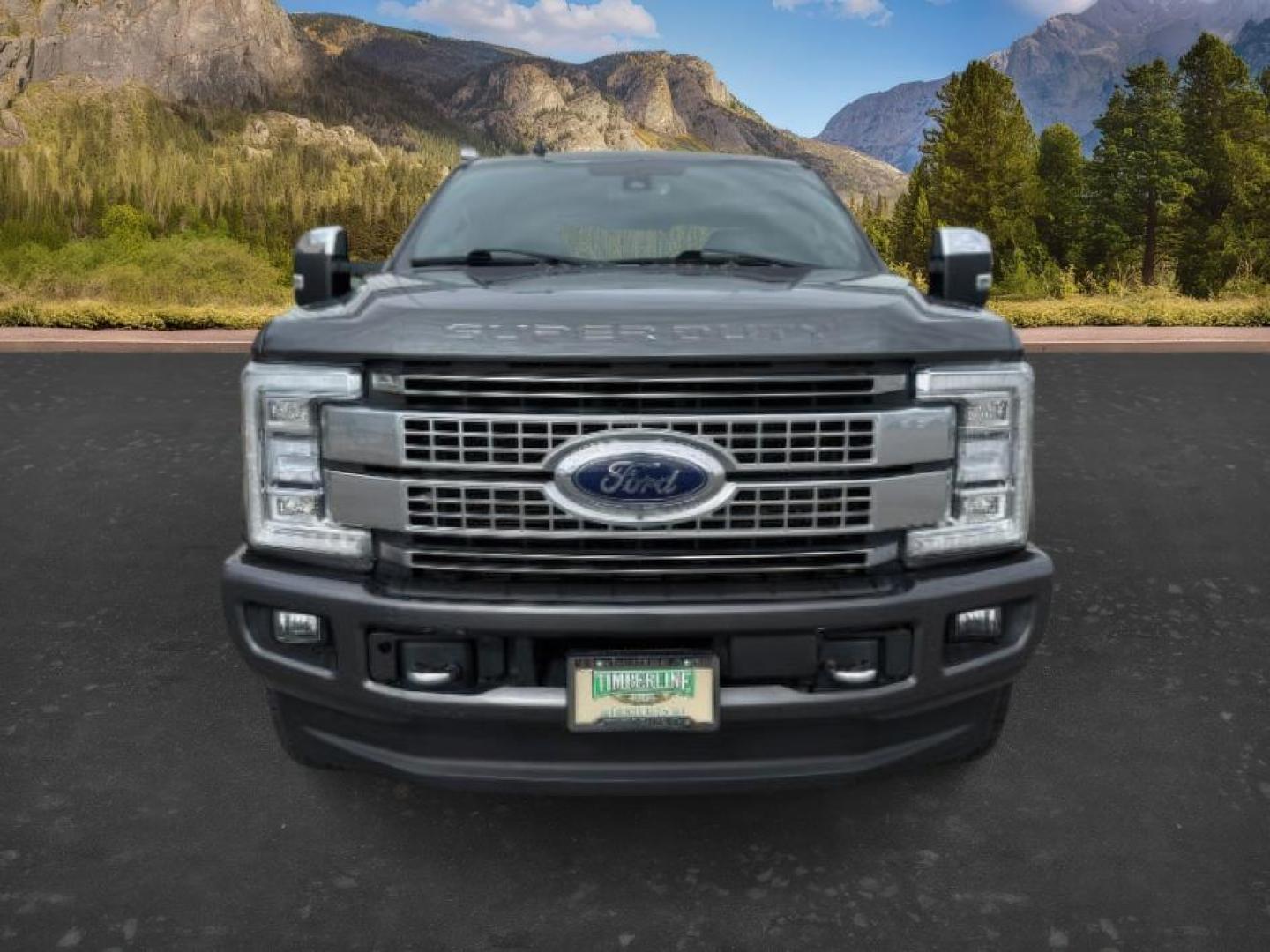 2019 GRAY /Black Ford F-350 Platinum (1FT8W3BT6KE) with an Powerstroke 6.7L V-8 diesel direct injection engine, AUTOMATIC transmission, located at 1235 N Woodruff Ave., Idaho Falls, 83401, (208) 523-1053, 43.507172, -112.000488 - At Timberline Auto, finding a great deal on your next vehicle is always easy! Our experienced sales staff's goal is to help find you the right vehicle at the right price! Our knowledgeable finance department has options for almost any credit score. We offer extended service contract options to prote - Photo#8