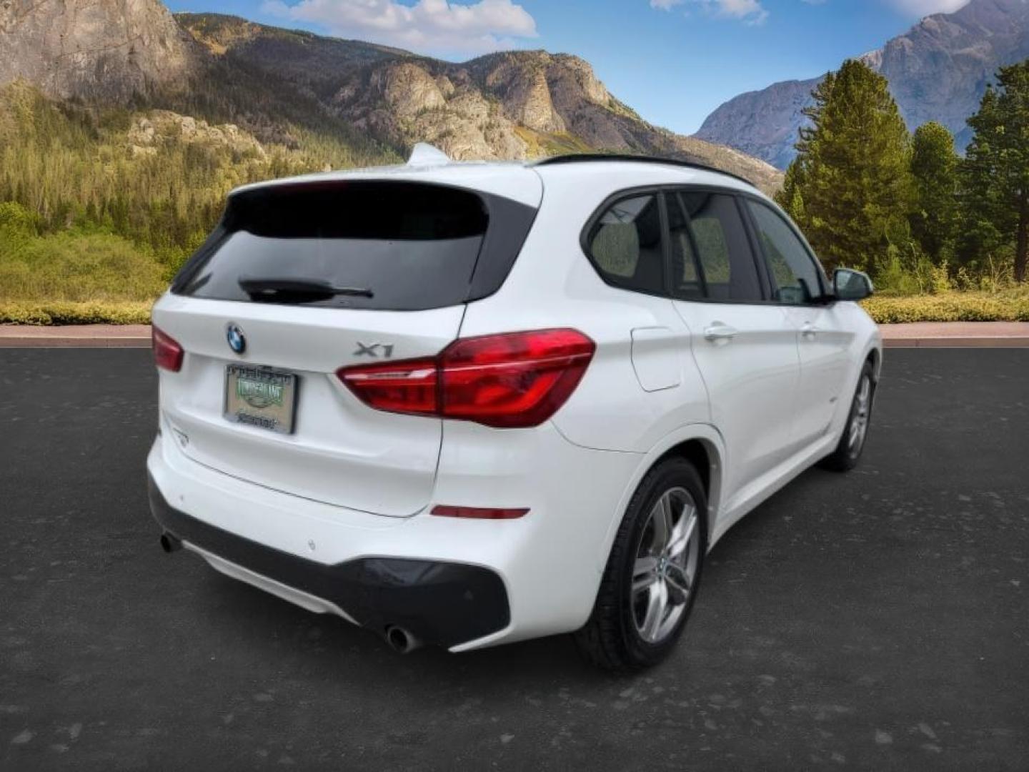 2016 WHITE /Black BMW X1 (WBXHT3C37G5) with an 2L I-4 gasoline direct injection engine, Automatic transmission, located at 1175 N Woodruff Ave, Idaho Falls, ID, 83401, 43.506901, -111.999657 - Photo#9