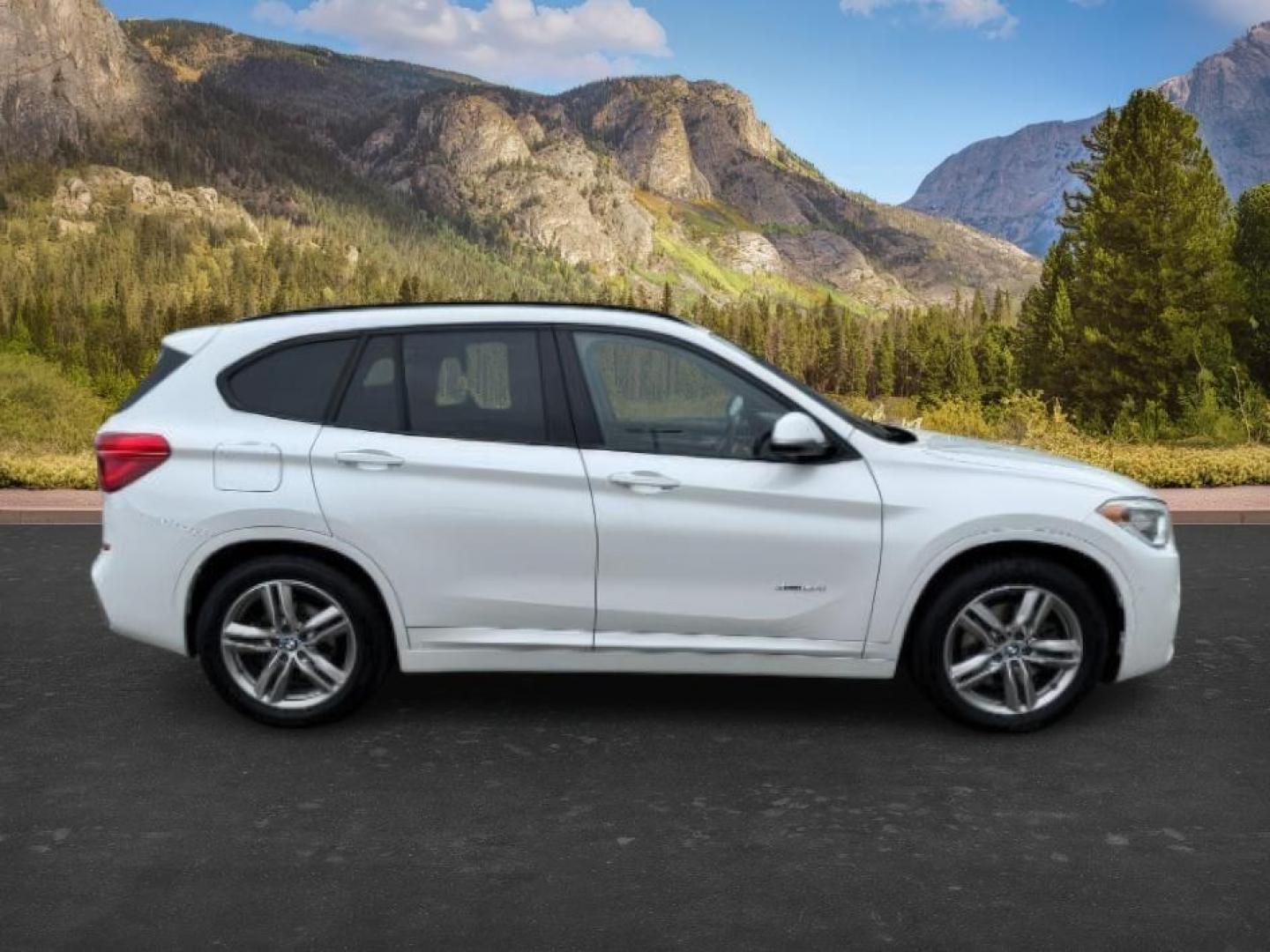 2016 WHITE /Black BMW X1 (WBXHT3C37G5) with an 2L I-4 gasoline direct injection engine, Automatic transmission, located at 1175 N Woodruff Ave, Idaho Falls, ID, 83401, 43.506901, -111.999657 - Photo#10