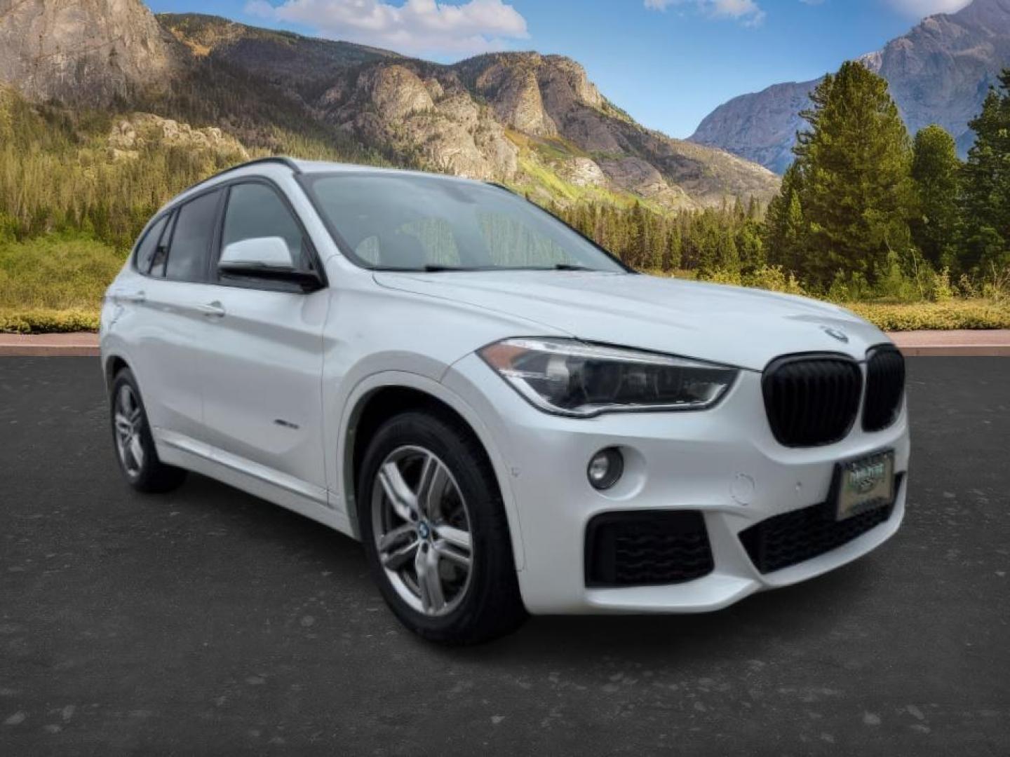 2016 WHITE /Black BMW X1 (WBXHT3C37G5) with an 2L I-4 gasoline direct injection engine, Automatic transmission, located at 1175 N Woodruff Ave, Idaho Falls, ID, 83401, 43.506901, -111.999657 - Photo#11