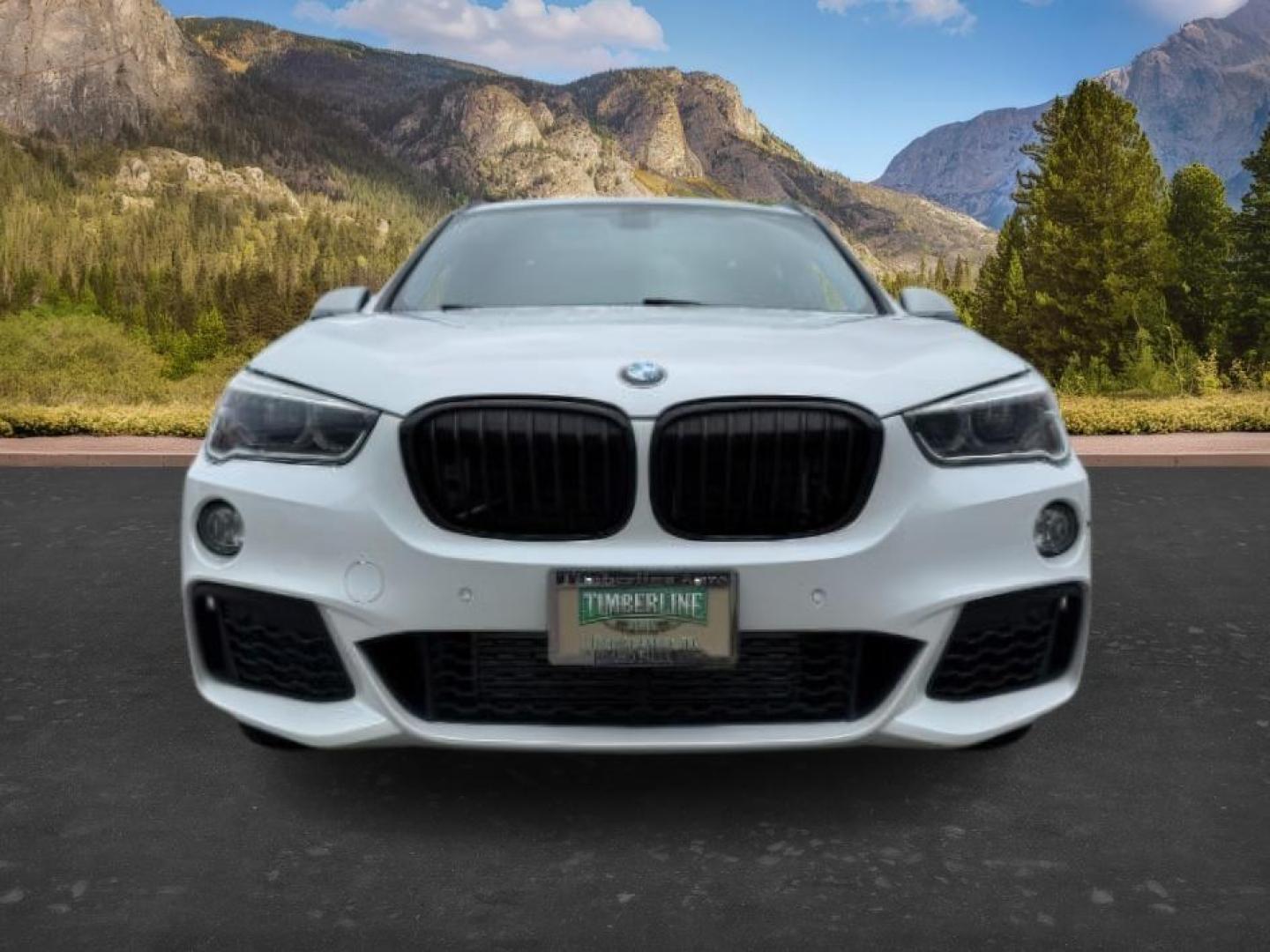 2016 WHITE /Black BMW X1 (WBXHT3C37G5) with an 2L I-4 gasoline direct injection engine, Automatic transmission, located at 1175 N Woodruff Ave, Idaho Falls, ID, 83401, 43.506901, -111.999657 - Photo#12