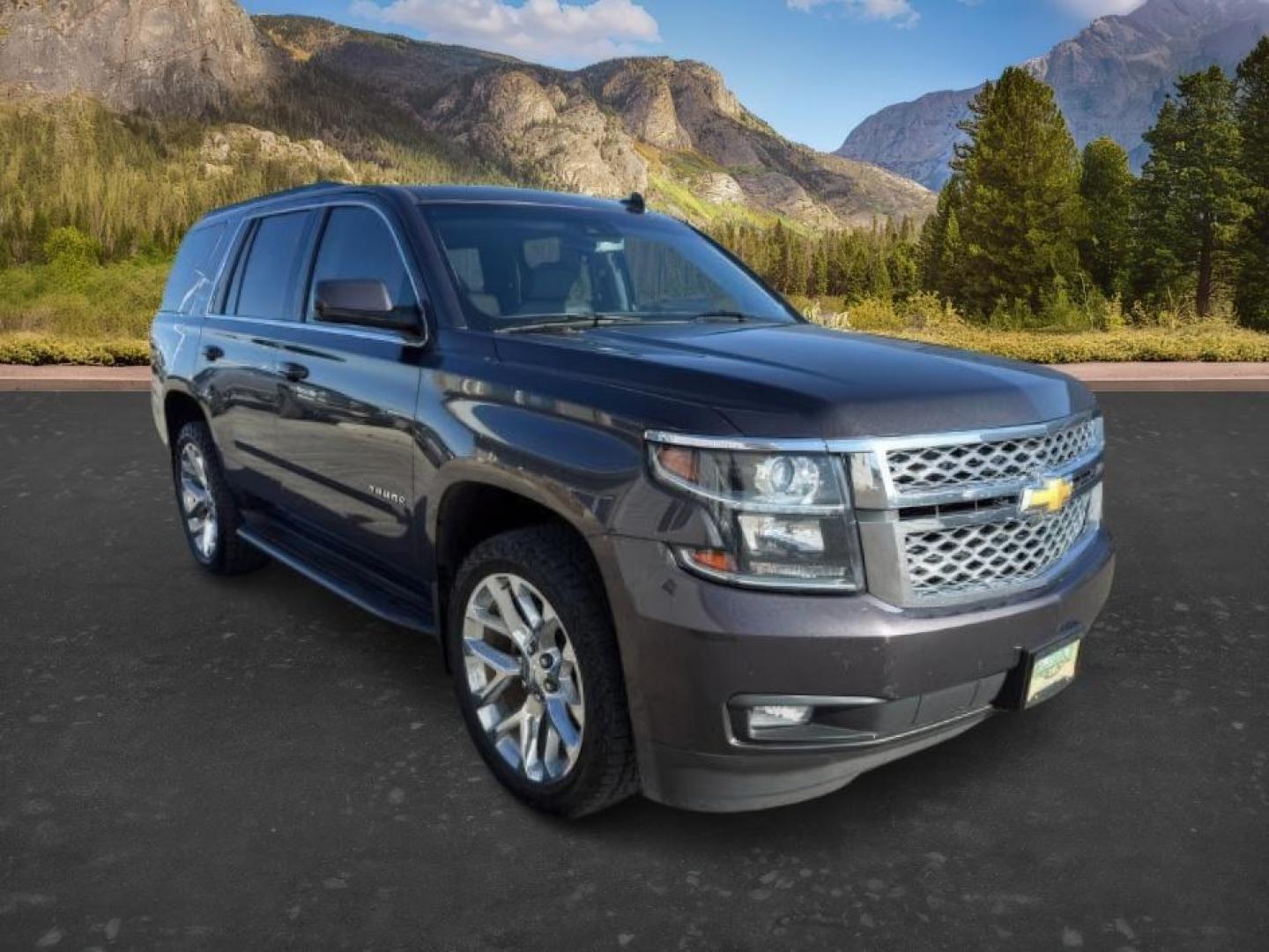2018 GRAY /Jet Black Chevrolet Tahoe (1GNSKBKCXJR) with an EcoTec3 53L V-8 gasoline direct injection engine, Automatic transmission, located at 1175 N Woodruff Ave, Idaho Falls, ID, 83401, 43.506901, -111.999657 - Photo#10