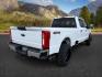 2024 WHITE /Medium Dark Slate Ford F-350 (1FT8W3BT0RE) with an Powerstroke 67L V-8 diesel direct injection engine, Automatic transmission, located at 1175 N Woodruff Ave, Idaho Falls, ID, 83401, 43.506901, -111.999657 - At Timberline Auto, finding a great deal on your next vehicle is always easy! Our experienced sales staff's goal is to help find you the right vehicle at the right price! Our knowledgeable finance department has options for almost any credit score. We offer extended service contract options to prote - Photo#5