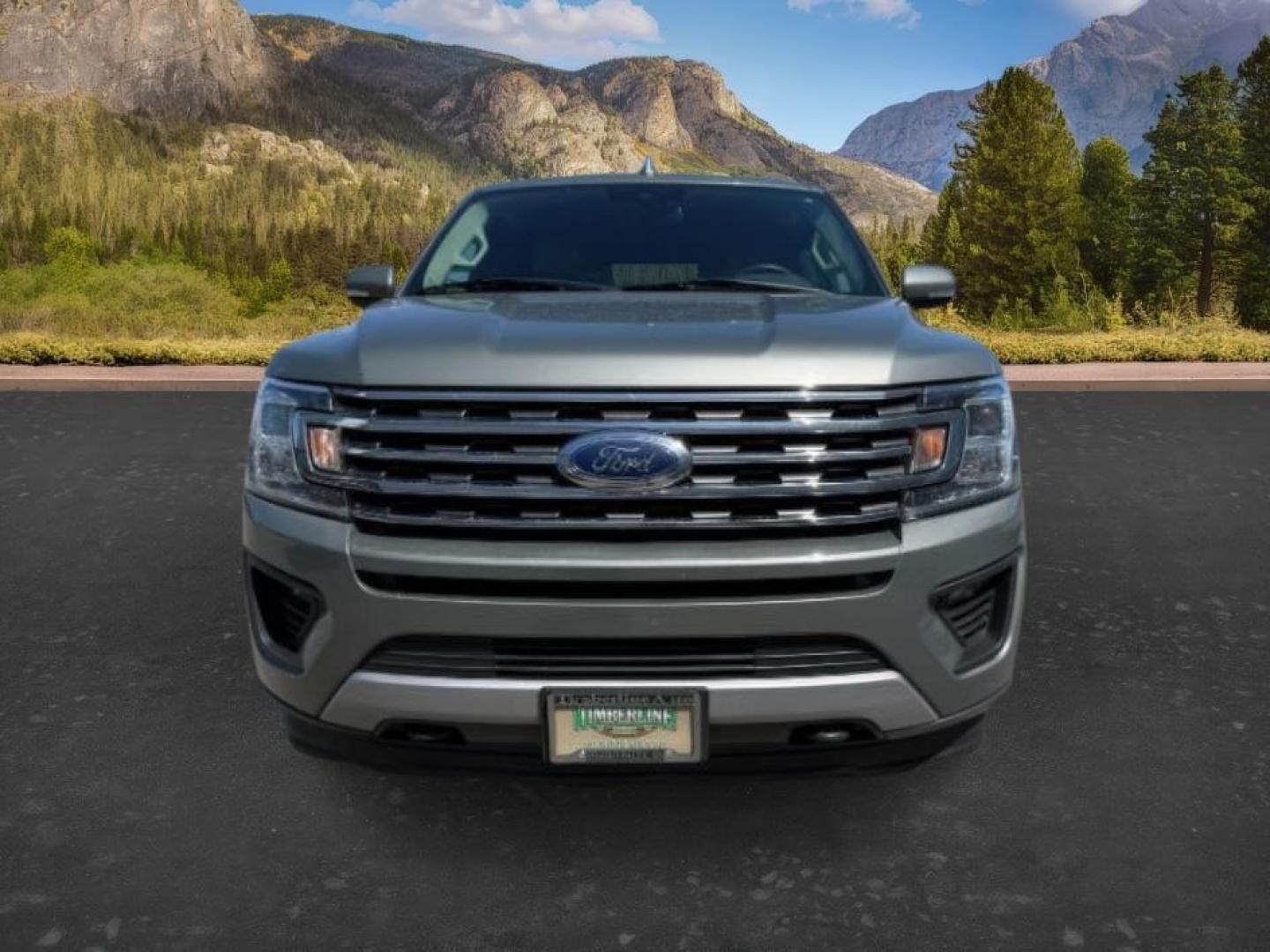 2019 OLIVE /Ebony Ford Expedition MAX (1FMJK1JT9KE) with an EcoBoost 35L V-6 gasoline direct injection engine, Automatic transmission, located at 1175 N Woodruff Ave, Idaho Falls, ID, 83401, 43.506901, -111.999657 - At Timberline Auto, finding a great deal on your next vehicle is always easy! Our experienced sales staff's goal is to help find you the right vehicle at the right price! Our knowledgeable finance department has options for almost any credit score. We offer extended service contract options to prote - Photo#12