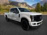 2019 WHITE /Black Ford F-250 LARIAT (1FT7W2BT2KE) with an Powerstroke 6.7L V-8 diesel direct injection engine, AUTOMATIC transmission, located at 1235 N Woodruff Ave., Idaho Falls, 83401, (208) 523-1053, 43.507172, -112.000488 - At Timberline Auto, finding a great deal on your next vehicle is always easy! Our experienced sales staff's goal is to help find you the right vehicle at the right price! Our knowledgeable finance department has options for almost any credit score. We offer extended service contract options to prote - Photo#8