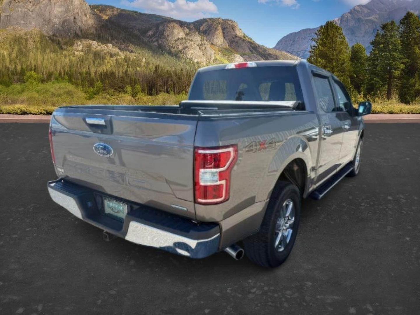 2019 GRAY /Black Ford F-150 XLT (1FTEW1E43KK) with an EcoBoost 3.5L V-6 port/direct injection engine, AUTOMATIC transmission, located at 1235 N Woodruff Ave., Idaho Falls, 83401, (208) 523-1053, 43.507172, -112.000488 - At Timberline Auto, finding a great deal on your next vehicle is always easy! Our experienced sales staff's goal is to help find you the right vehicle at the right price! Our knowledgeable finance department has options for almost any credit score. We offer extended service contract options to prote - Photo#6