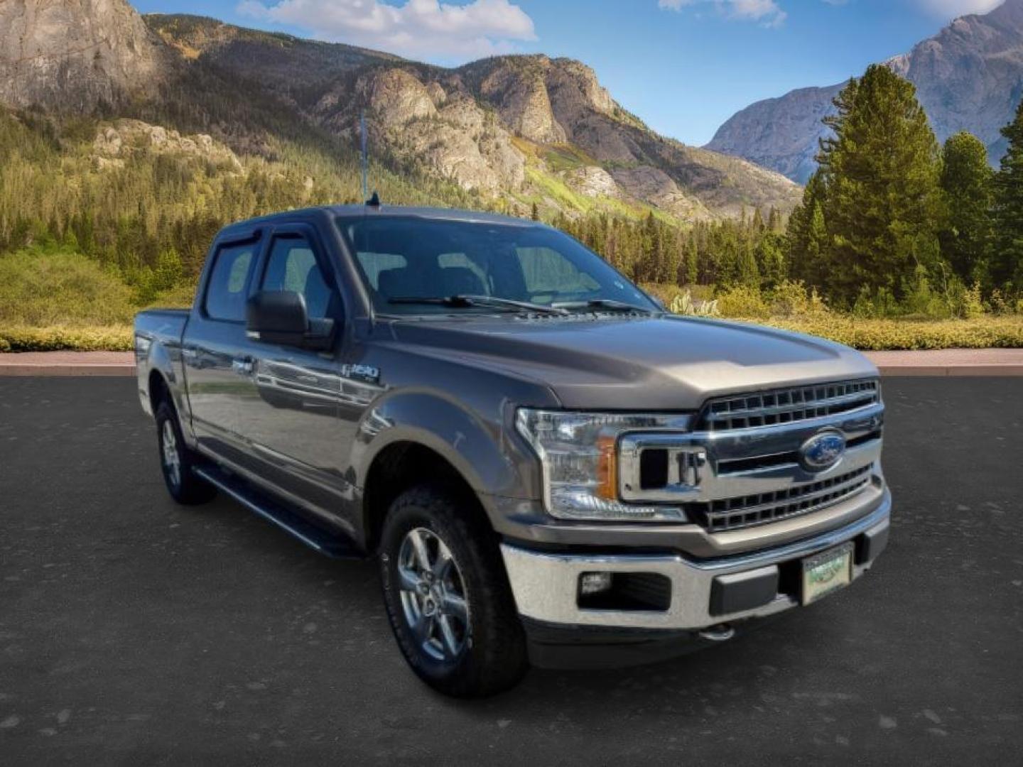 2019 GRAY /Black Ford F-150 XLT (1FTEW1E43KK) with an EcoBoost 3.5L V-6 port/direct injection engine, AUTOMATIC transmission, located at 1235 N Woodruff Ave., Idaho Falls, 83401, (208) 523-1053, 43.507172, -112.000488 - At Timberline Auto, finding a great deal on your next vehicle is always easy! Our experienced sales staff's goal is to help find you the right vehicle at the right price! Our knowledgeable finance department has options for almost any credit score. We offer extended service contract options to prote - Photo#8