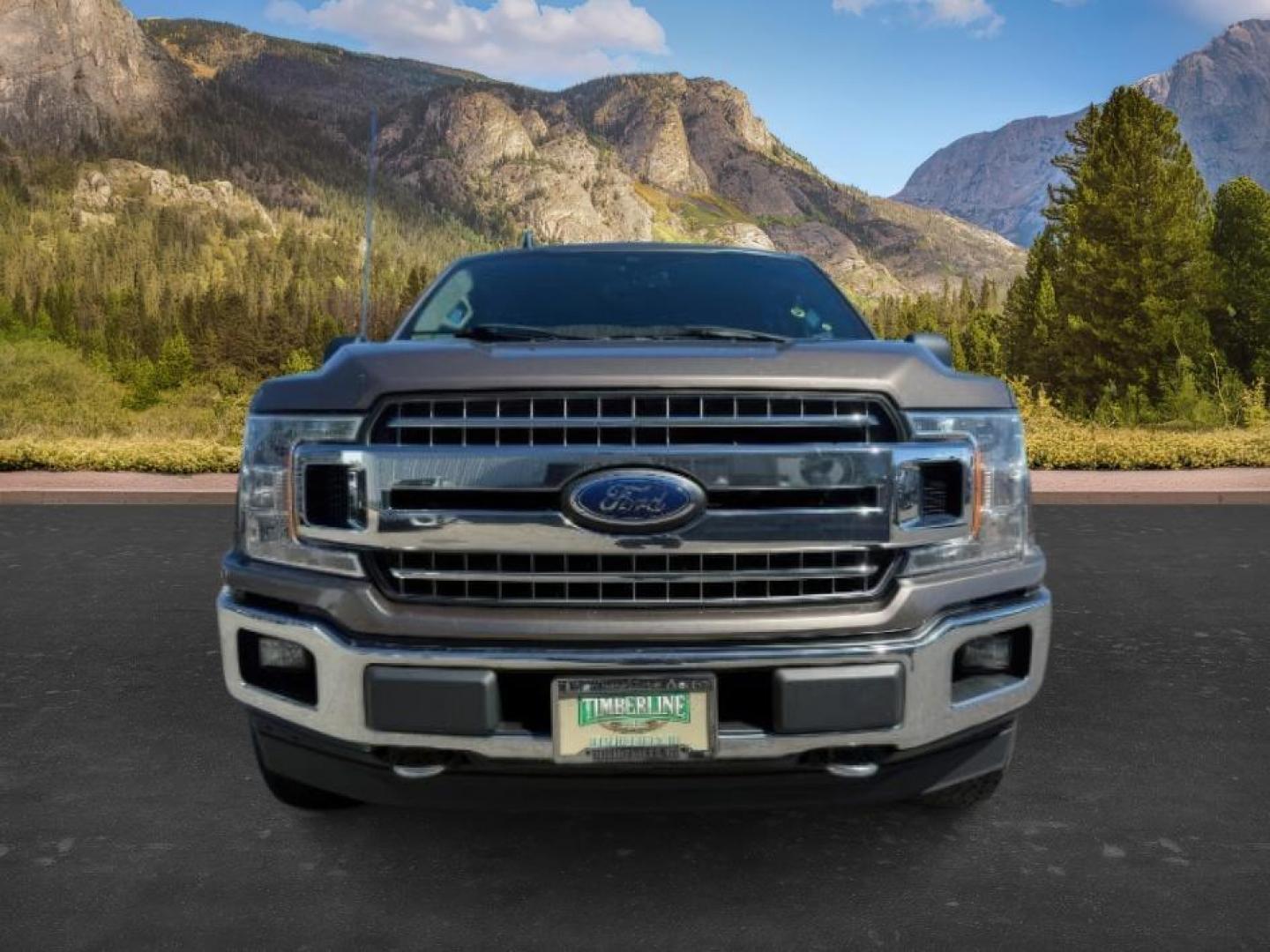 2019 GRAY /Black Ford F-150 XLT (1FTEW1E43KK) with an EcoBoost 3.5L V-6 port/direct injection engine, AUTOMATIC transmission, located at 1235 N Woodruff Ave., Idaho Falls, 83401, (208) 523-1053, 43.507172, -112.000488 - At Timberline Auto, finding a great deal on your next vehicle is always easy! Our experienced sales staff's goal is to help find you the right vehicle at the right price! Our knowledgeable finance department has options for almost any credit score. We offer extended service contract options to prote - Photo#9