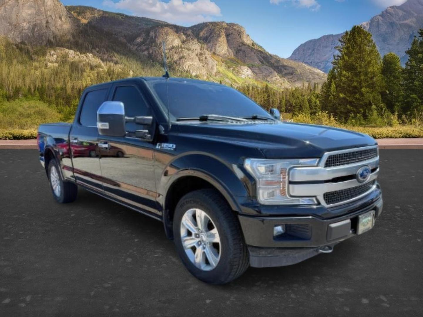 2018 BLACK /Black Ford F-150 (1FTFW1EGXJF) with an EcoBoost 35L V-6 portdirect injection engine, Automatic transmission, located at 1175 N Woodruff Ave, Idaho Falls, ID, 83401, 43.506901, -111.999657 - At Timberline Auto, finding a great deal on your next vehicle is always easy! Our experienced sales staff's goal is to help find you the right vehicle at the right price! Our knowledgeable finance department has options for almost any credit score. We offer extended service contract options to prote - Photo#8