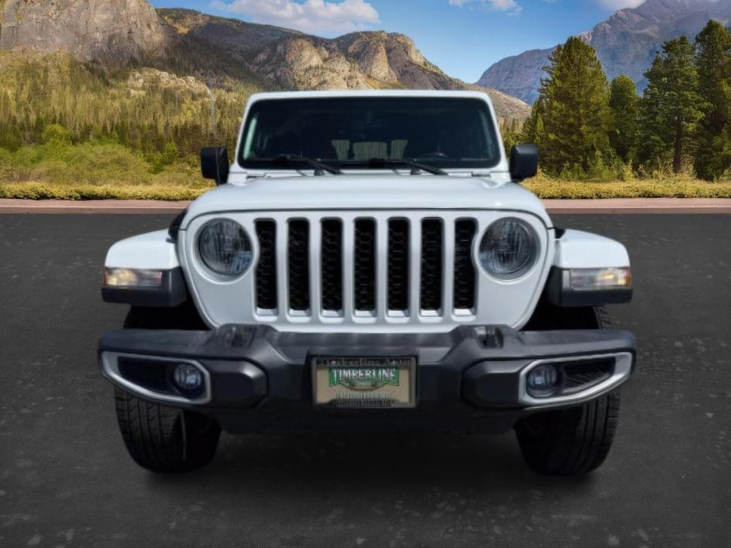 2022 WHITE /Black Jeep Gladiator (1C6HJTFG9NL) with an 36L V-6 DOHC engine, Automatic transmission, located at 1175 N Woodruff Ave, Idaho Falls, ID, 83401, 43.506901, -111.999657 - At Timberline Auto, finding a great deal on your next vehicle is always easy! Our experienced sales staff's goal is to help find you the right vehicle at the right price! Our knowledgeable finance department has options for almost any credit score. We offer extended service contract options to prote - Photo#9