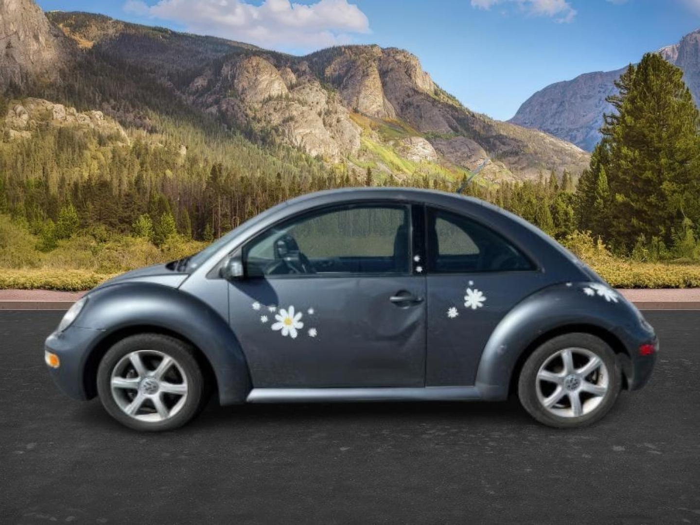 2004 GRAY /Black Volkswagen New Beetle GLS 1.8T (3VWCD21C54M) with an 1.8L I-4 DOHC engine, AUTOMATIC transmission, located at 1235 N Woodruff Ave., Idaho Falls, 83401, (208) 523-1053, 43.507172, -112.000488 - At Timberline Auto, finding a great deal on your next vehicle is always easy! Our experienced sales staff's goal is to help find you the right vehicle at the right price! Our knowledgeable finance department has options for almost any credit score. We offer extended service contract options to prote - Photo#0