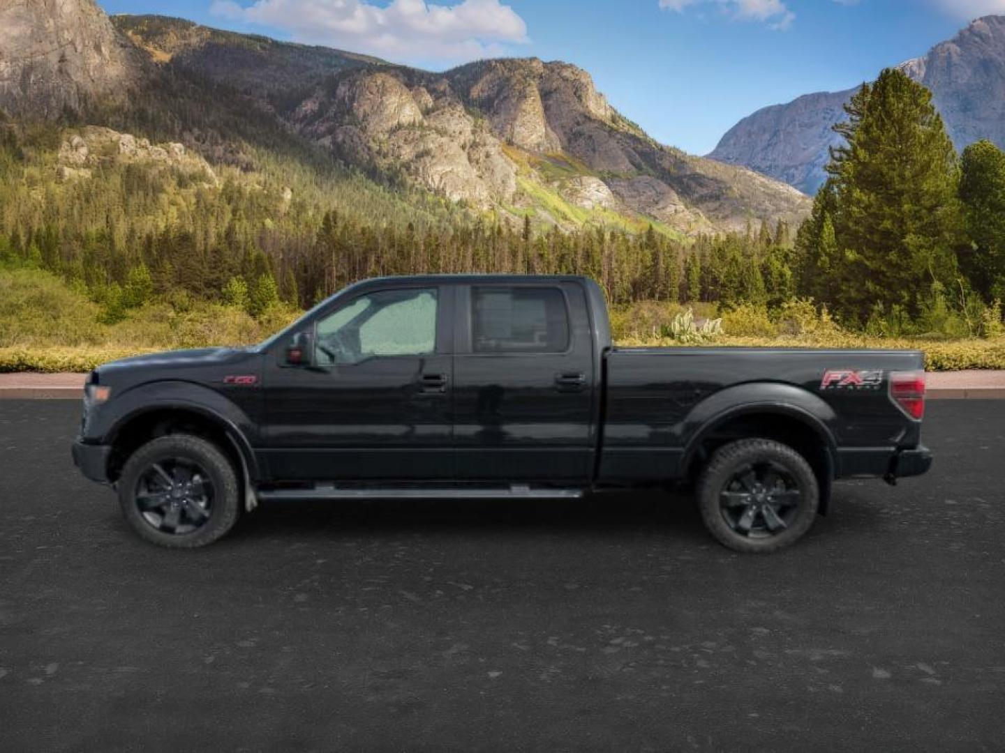 2014 BLACK /LEATHER Ford F-150 (1FTFW1ET1EF) with an 35 V6 engine, Automatic transmission, located at 1175 N Woodruff Ave, Idaho Falls, ID, 83401, 43.506901, -111.999657 - At Timberline Auto, finding a great deal on your next vehicle is always easy! Our experienced sales staff's goal is to help find you the right vehicle at the right price! Our knowledgeable finance department has options for almost any credit score. We offer extended service contract options to prote - Photo#0
