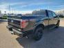 2014 BLACK /LEATHER Ford F-150 (1FTFW1ET1EF) with an 35 V6 engine, Automatic transmission, located at 1175 N Woodruff Ave, Idaho Falls, ID, 83401, 43.506901, -111.999657 - At Timberline Auto, finding a great deal on your next vehicle is always easy! Our experienced sales staff's goal is to help find you the right vehicle at the right price! Our knowledgeable finance department has options for almost any credit score. We offer extended service contract options to prote - Photo#30