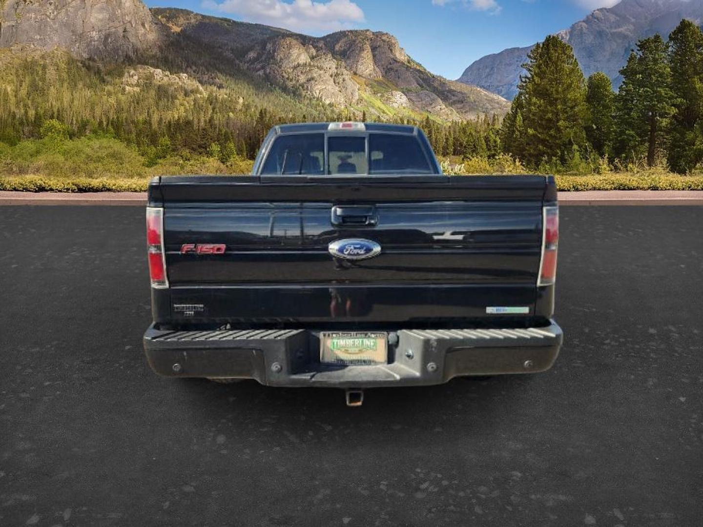 2014 BLACK /LEATHER Ford F-150 (1FTFW1ET1EF) with an 35 V6 engine, Automatic transmission, located at 1175 N Woodruff Ave, Idaho Falls, ID, 83401, 43.506901, -111.999657 - At Timberline Auto, finding a great deal on your next vehicle is always easy! Our experienced sales staff's goal is to help find you the right vehicle at the right price! Our knowledgeable finance department has options for almost any credit score. We offer extended service contract options to prote - Photo#3