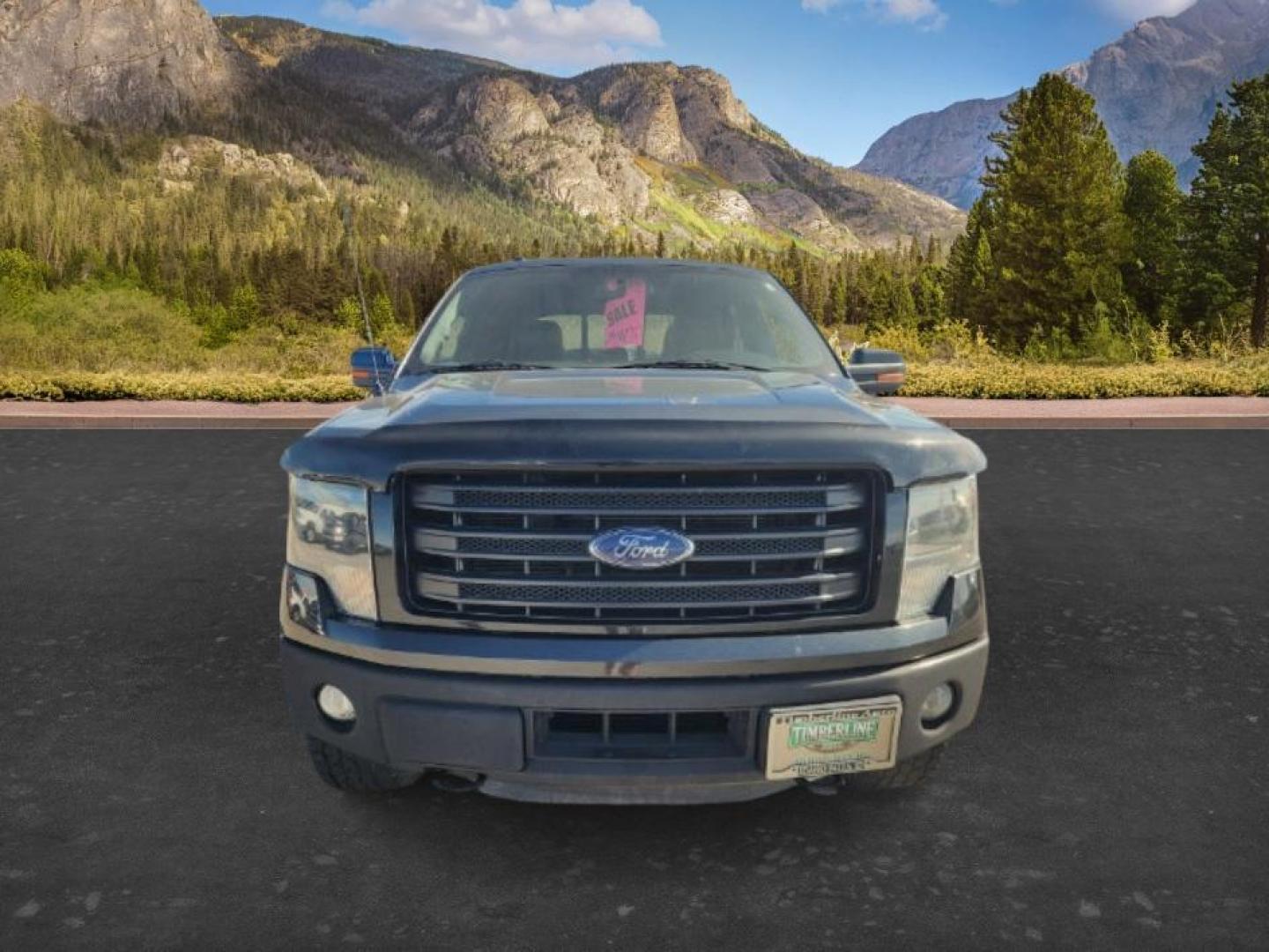 2014 BLACK /LEATHER Ford F-150 (1FTFW1ET1EF) with an 35 V6 engine, Automatic transmission, located at 1175 N Woodruff Ave, Idaho Falls, ID, 83401, 43.506901, -111.999657 - At Timberline Auto, finding a great deal on your next vehicle is always easy! Our experienced sales staff's goal is to help find you the right vehicle at the right price! Our knowledgeable finance department has options for almost any credit score. We offer extended service contract options to prote - Photo#6