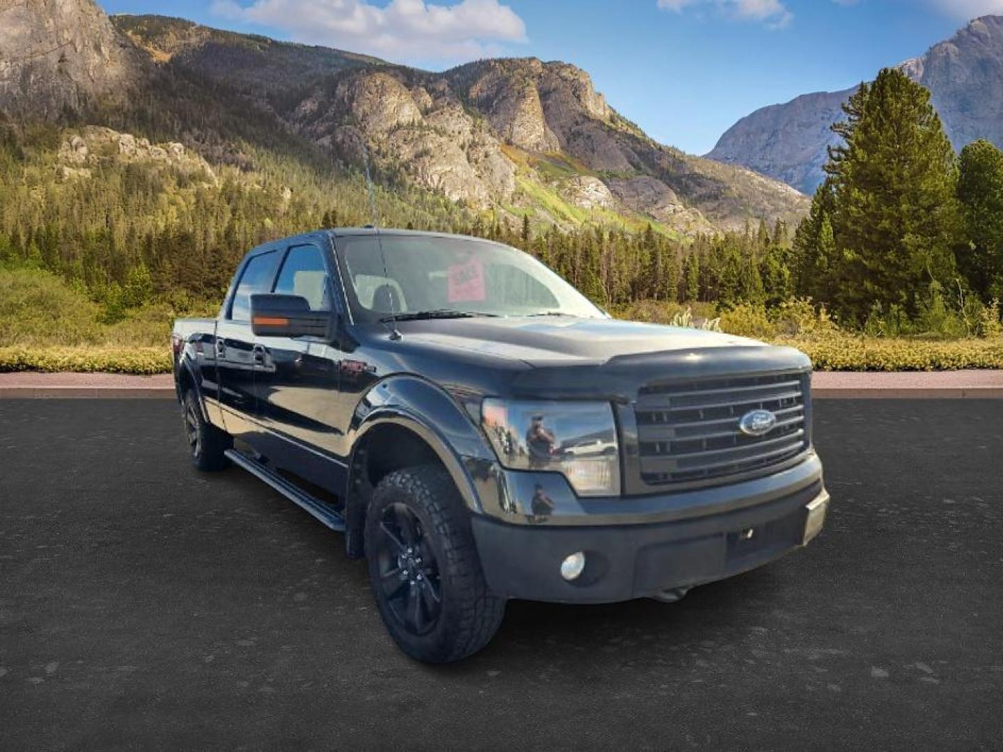 2014 BLACK /LEATHER Ford F-150 (1FTFW1ET1EF) with an 35 V6 engine, Automatic transmission, located at 1175 N Woodruff Ave, Idaho Falls, ID, 83401, 43.506901, -111.999657 - At Timberline Auto, finding a great deal on your next vehicle is always easy! Our experienced sales staff's goal is to help find you the right vehicle at the right price! Our knowledgeable finance department has options for almost any credit score. We offer extended service contract options to prote - Photo#7