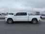 2023 WHITE /Black Ram 1500 (1C6SRFRT0PN) with an HEMI 57L V-8 variable valve control engine, Automatic transmission, located at 1175 N Woodruff Ave, Idaho Falls, ID, 83401, 43.506901, -111.999657 - At Timberline Auto, finding a great deal on your next vehicle is always easy! Our experienced sales staff's goal is to help find you the right vehicle at the right price! Our knowledgeable finance department has options for almost any credit score. We offer extended service contract options to prote - Photo#1