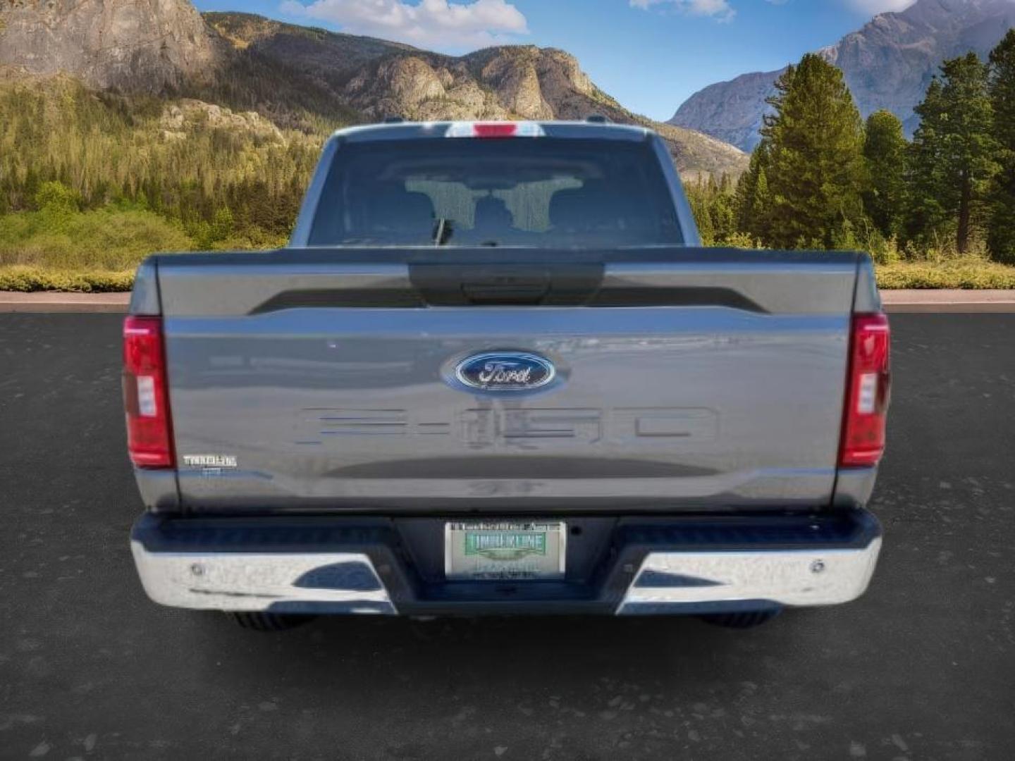 2021 GRAY /Black Ford F-150 XLT (1FTFW1E59MF) with an 5L V-8 port/direct injection engine, AUTOMATIC transmission - At Timberline Auto, finding a great deal on your next vehicle is always easy! Our experienced sales staff's goal is to help find you the right vehicle at the right price! Our knowledgeable finance department has options for almost any credit score. We offer extended service contract options to prote - Photo#3