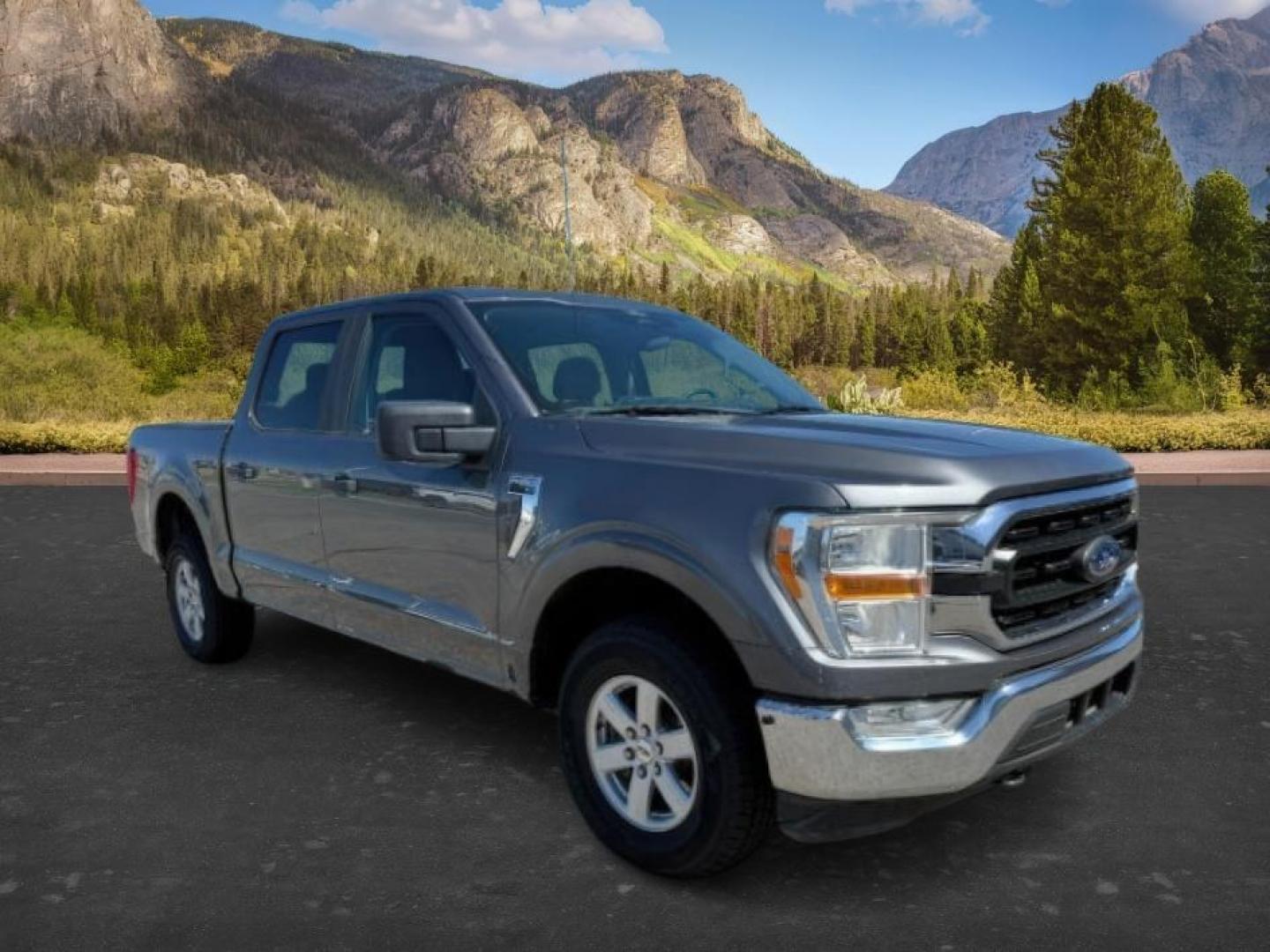 2021 GRAY /Black Ford F-150 XLT (1FTFW1E59MF) with an 5L V-8 port/direct injection engine, AUTOMATIC transmission - At Timberline Auto, finding a great deal on your next vehicle is always easy! Our experienced sales staff's goal is to help find you the right vehicle at the right price! Our knowledgeable finance department has options for almost any credit score. We offer extended service contract options to prote - Photo#8