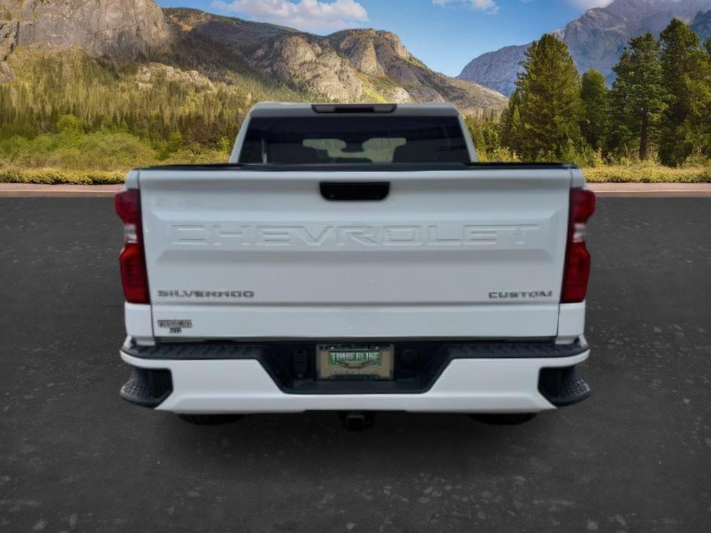 2022 WHITE /CLOTH Chevrolet Silverado 1500 (3GCPDBEK3NG) with an 27L V6 TURBO engine, Automatic transmission, located at 1175 N Woodruff Ave, Idaho Falls, ID, 83401, 43.506901, -111.999657 - At Timberline Auto, finding a great deal on your next vehicle is always easy! Our experienced sales staff's goal is to help find you the right vehicle at the right price! Our knowledgeable finance department has options for almost any credit score. We offer extended service contract options to prote - Photo#3