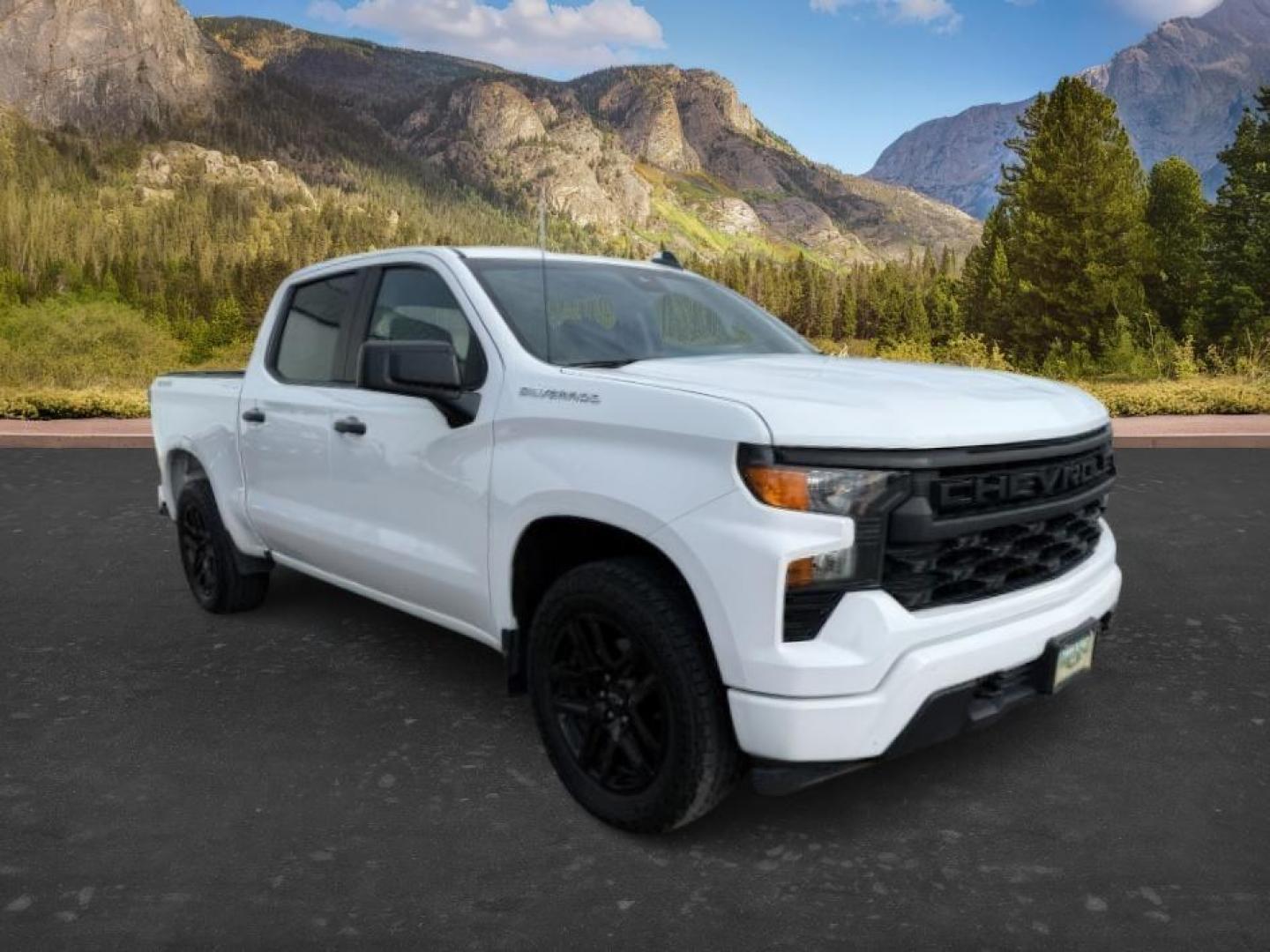 2022 WHITE /CLOTH Chevrolet Silverado 1500 (3GCPDBEK3NG) with an 27L V6 TURBO engine, Automatic transmission, located at 1175 N Woodruff Ave, Idaho Falls, ID, 83401, 43.506901, -111.999657 - At Timberline Auto, finding a great deal on your next vehicle is always easy! Our experienced sales staff's goal is to help find you the right vehicle at the right price! Our knowledgeable finance department has options for almost any credit score. We offer extended service contract options to prote - Photo#8