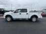 2008 WHITE /Medium Flint Ford F-150 FX4 (1FTPW14V78K) with an Triton 5.4L V-8 variable valve control engine, AUTOMATIC transmission, located at 1235 N Woodruff Ave., Idaho Falls, 83401, (208) 523-1053, 43.507172, -112.000488 - At Timberline Auto, finding a great deal on your next vehicle is always easy! Our experienced sales staff goal is to help find you the right vehicle at the right price! Our knowledgeable finance department has options for almost any credit score. We offer extended service contract options to prot - Photo#1