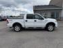 2008 WHITE /Medium Flint Ford F-150 FX4 (1FTPW14V78K) with an Triton 5.4L V-8 variable valve control engine, AUTOMATIC transmission, located at 1235 N Woodruff Ave., Idaho Falls, 83401, (208) 523-1053, 43.507172, -112.000488 - At Timberline Auto, finding a great deal on your next vehicle is always easy! Our experienced sales staff goal is to help find you the right vehicle at the right price! Our knowledgeable finance department has options for almost any credit score. We offer extended service contract options to prot - Photo#26