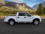 2008 WHITE /Medium Flint Ford F-150 FX4 (1FTPW14V78K) with an Triton 5.4L V-8 variable valve control engine, AUTOMATIC transmission, located at 1235 N Woodruff Ave., Idaho Falls, 83401, (208) 523-1053, 43.507172, -112.000488 - At Timberline Auto, finding a great deal on your next vehicle is always easy! Our experienced sales staff goal is to help find you the right vehicle at the right price! Our knowledgeable finance department has options for almost any credit score. We offer extended service contract options to prot - Photo#5