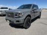 2018 GRAY /Black Ford F-150 (1FTEW1EG1JF) with an EcoBoost 35L V-6 portdirect injection engine, Automatic transmission, located at 1175 N Woodruff Ave, Idaho Falls, ID, 83401, 43.506901, -111.999657 - At Timberline Auto, finding a great deal on your next vehicle is always easy! Our experienced sales staff goal is to help find you the right vehicle at the right price! Our knowledgeable finance department has options for almost any credit score. We offer extended service contract options to prot - Photo#1