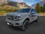 2018 GRAY /Black Ford F-150 (1FTEW1EG1JF) with an EcoBoost 35L V-6 portdirect injection engine, Automatic transmission, located at 1175 N Woodruff Ave, Idaho Falls, ID, 83401, 43.506901, -111.999657 - At Timberline Auto, finding a great deal on your next vehicle is always easy! Our experienced sales staff goal is to help find you the right vehicle at the right price! Our knowledgeable finance department has options for almost any credit score. We offer extended service contract options to prot - Photo#0