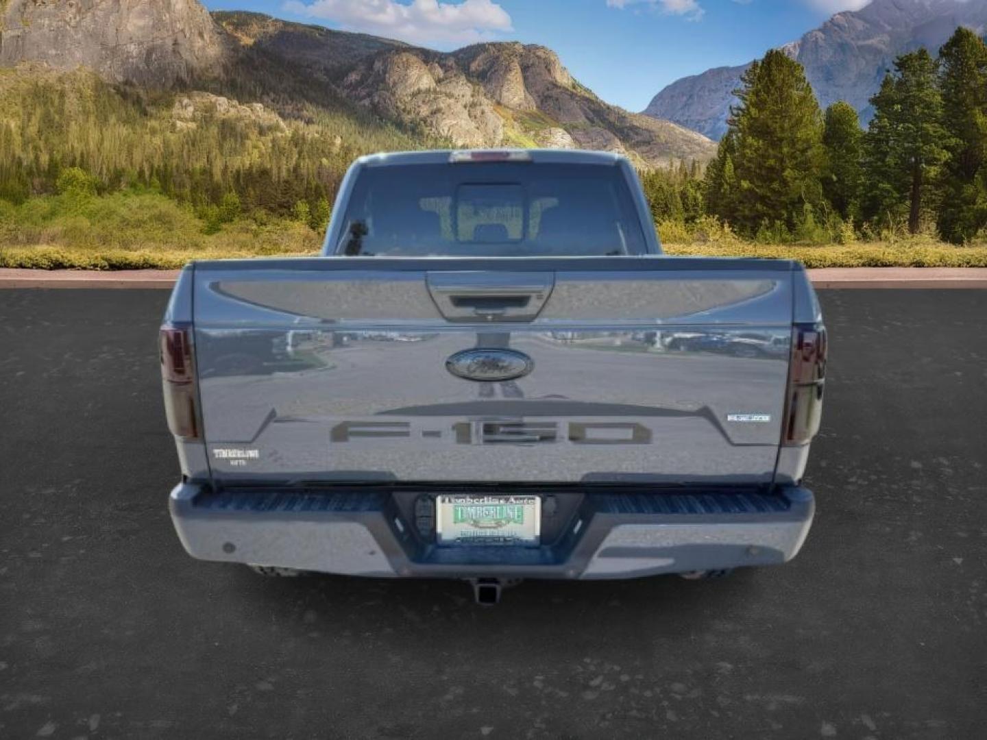 2018 GRAY /Black Ford F-150 (1FTEW1EG1JF) with an EcoBoost 35L V-6 portdirect injection engine, Automatic transmission, located at 1175 N Woodruff Ave, Idaho Falls, ID, 83401, 43.506901, -111.999657 - At Timberline Auto, finding a great deal on your next vehicle is always easy! Our experienced sales staff goal is to help find you the right vehicle at the right price! Our knowledgeable finance department has options for almost any credit score. We offer extended service contract options to prot - Photo#3
