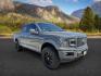 2018 GRAY /Black Ford F-150 (1FTEW1EG1JF) with an EcoBoost 35L V-6 portdirect injection engine, Automatic transmission, located at 1175 N Woodruff Ave, Idaho Falls, ID, 83401, 43.506901, -111.999657 - At Timberline Auto, finding a great deal on your next vehicle is always easy! Our experienced sales staff goal is to help find you the right vehicle at the right price! Our knowledgeable finance department has options for almost any credit score. We offer extended service contract options to prot - Photo#8