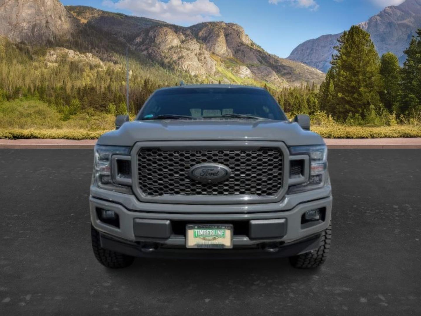 2018 GRAY /Black Ford F-150 (1FTEW1EG1JF) with an EcoBoost 35L V-6 portdirect injection engine, Automatic transmission, located at 1175 N Woodruff Ave, Idaho Falls, ID, 83401, 43.506901, -111.999657 - At Timberline Auto, finding a great deal on your next vehicle is always easy! Our experienced sales staff goal is to help find you the right vehicle at the right price! Our knowledgeable finance department has options for almost any credit score. We offer extended service contract options to prot - Photo#9