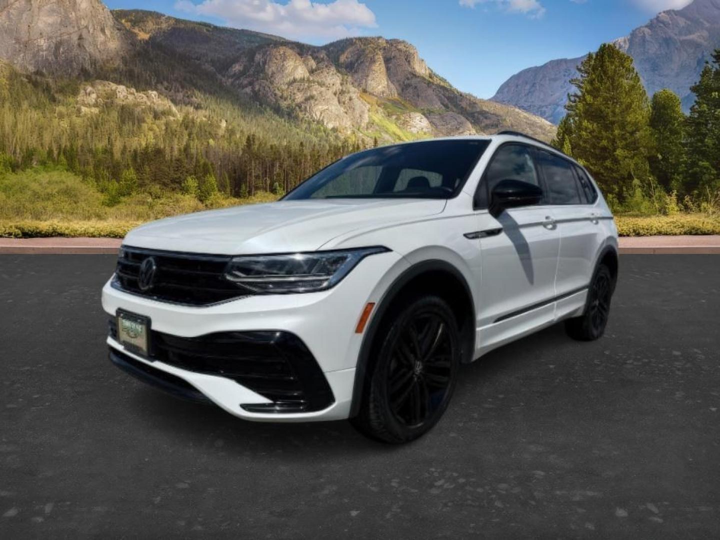 2022 Volkswagen Tiguan 2.0T SE R-Line Black 4Motion's photo