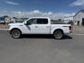 2018 WHITE /Medium Earth Gray Ford F-150 (1FTEW1EG7JK) with an EcoBoost 35L V-6 portdirect injection engine, Automatic transmission, located at 1175 N Woodruff Ave, Idaho Falls, ID, 83401, 43.506901, -111.999657 - At Timberline Auto, finding a great deal on your next vehicle is always easy! Our experienced sales staff goal is to help find you the right vehicle at the right price! Our knowledgeable finance department has options for almost any credit score. We offer extended service contract options to prot - Photo#0