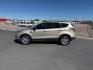 2018 GOLD /Medium Light Stone Ford Escape (1FMCU9HD3JU) with an EcoBoost 15L I-4 gasoline direct injection engine, Automatic transmission, located at 1175 N Woodruff Ave, Idaho Falls, ID, 83401, 43.506901, -111.999657 - At Timberline Auto, finding a great deal on your next vehicle is always easy! Our experienced sales staff goal is to help find you the right vehicle at the right price! Our knowledgeable finance department has options for almost any credit score. We offer extended service contract options to prot - Photo#1