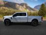 2019 SILVER /Black Ford F-350 Platinum (1FT8W3BT7KE) with an Powerstroke 6.7L V-8 diesel direct injection engine, AUTOMATIC transmission, located at 1235 N Woodruff Ave., Idaho Falls, 83401, (208) 523-1053, 43.507172, -112.000488 - At Timberline Auto, finding a great deal on your next vehicle is always easy! Our experienced sales staff goal is to help find you the right vehicle at the right price! Our knowledgeable finance department has options for almost any credit score. We offer extended service contract options to prot - Photo#1