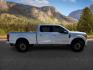 2019 SILVER /Black Ford F-350 Platinum (1FT8W3BT7KE) with an Powerstroke 6.7L V-8 diesel direct injection engine, AUTOMATIC transmission, located at 1235 N Woodruff Ave., Idaho Falls, 83401, (208) 523-1053, 43.507172, -112.000488 - At Timberline Auto, finding a great deal on your next vehicle is always easy! Our experienced sales staff goal is to help find you the right vehicle at the right price! Our knowledgeable finance department has options for almost any credit score. We offer extended service contract options to prot - Photo#6