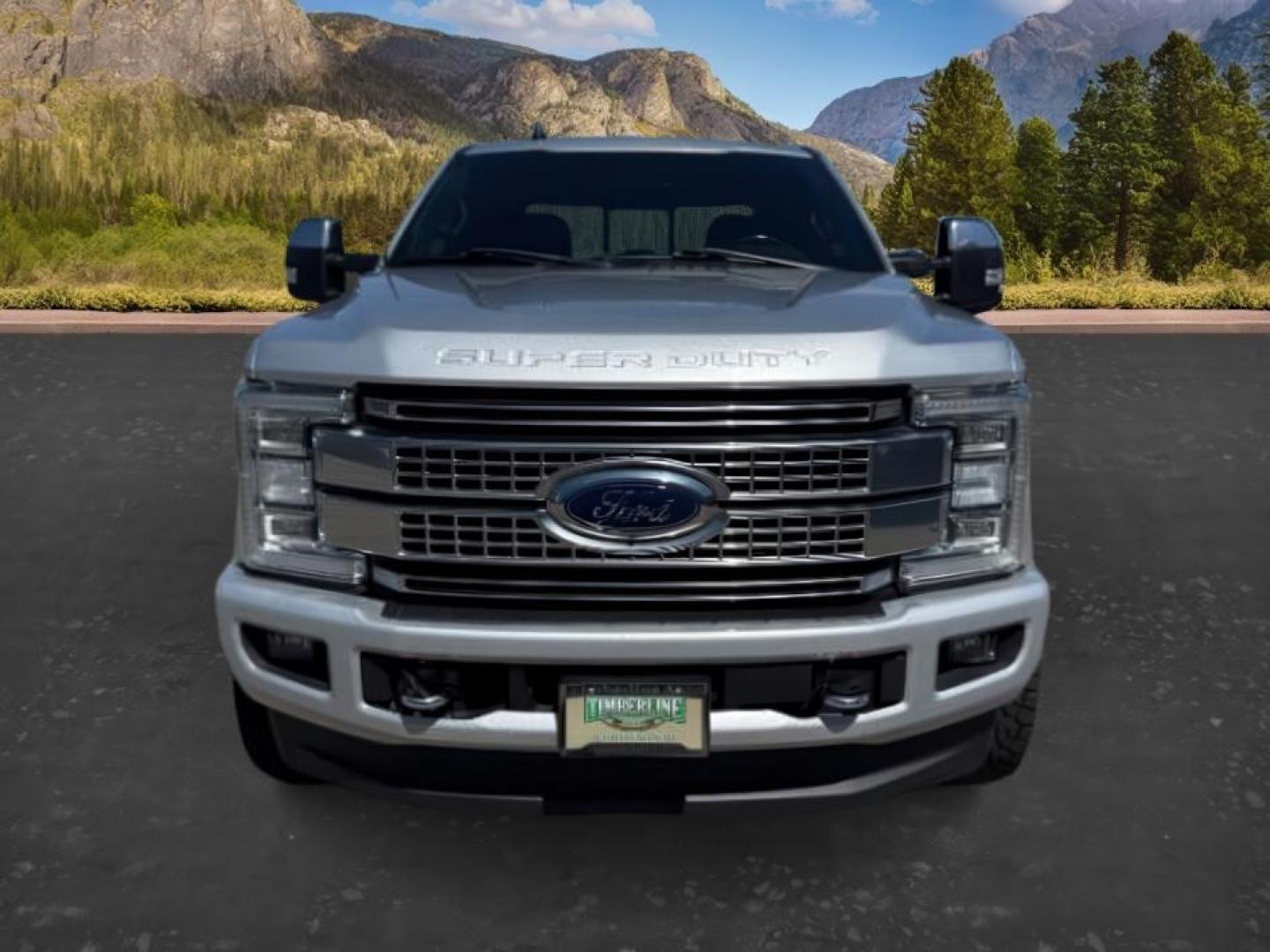 2019 SILVER /Black Ford F-350 Platinum (1FT8W3BT7KE) with an Powerstroke 6.7L V-8 diesel direct injection engine, AUTOMATIC transmission, located at 1235 N Woodruff Ave., Idaho Falls, 83401, (208) 523-1053, 43.507172, -112.000488 - At Timberline Auto, finding a great deal on your next vehicle is always easy! Our experienced sales staff goal is to help find you the right vehicle at the right price! Our knowledgeable finance department has options for almost any credit score. We offer extended service contract options to prot - Photo#8