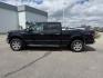 2020 BLACK /Medium Earth Gray Ford F-150 XLT (1FTFW1E49LF) with an EcoBoost 3.5L V-6 port/direct injection engine, AUTOMATIC transmission, located at 1235 N Woodruff Ave., Idaho Falls, 83401, (208) 523-1053, 43.507172, -112.000488 - Photo#1