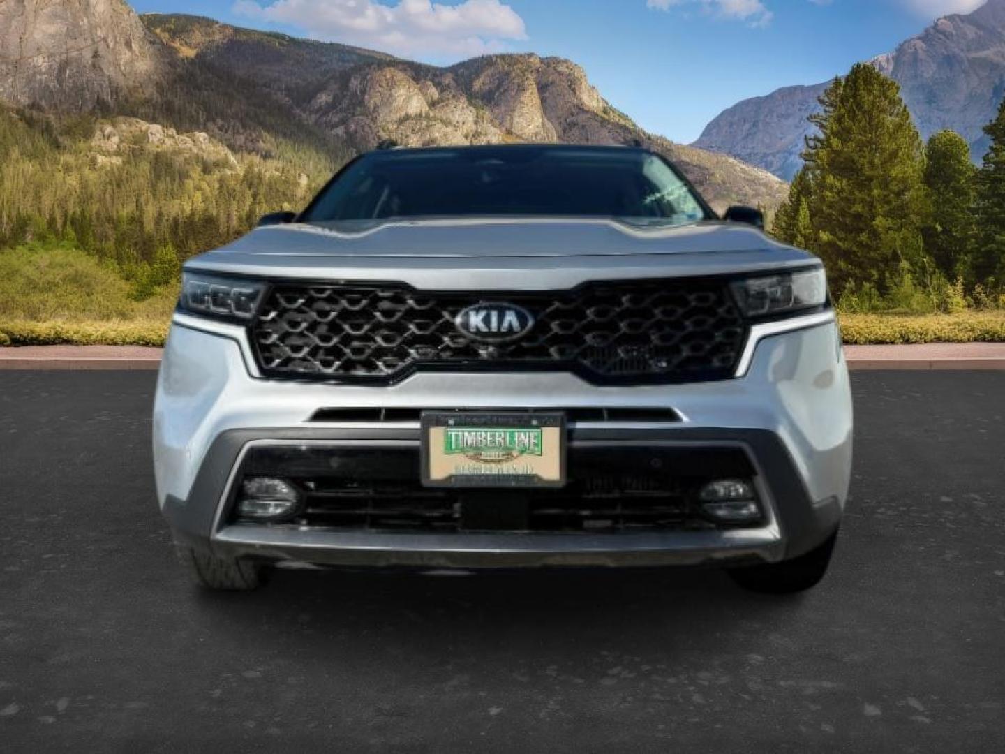 2021 SILVER /LEATHER KIA Sorento (5XYRKDLF3MG) with an 25L I4 TURBO engine, Automatic transmission, located at 1175 N Woodruff Ave, Idaho Falls, ID, 83401, 43.506901, -111.999657 - At Timberline Auto, finding a great deal on your next vehicle is always easy! Our experienced sales staff goal is to help find you the right vehicle at the right price! Our knowledgeable finance department has options for almost any credit score. We offer extended service contract options to prot - Photo#10