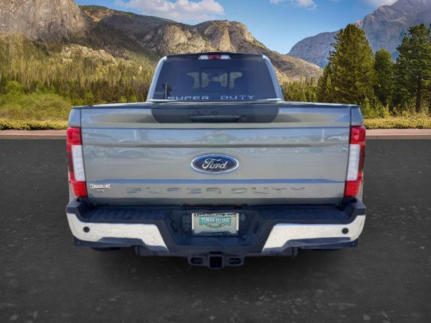 2019 GRAY /Black Ford F-350 (1FT8W3DT0KE) with an Powerstroke 67L V-8 diesel direct injection engine, Automatic transmission, located at 1175 N Woodruff Ave, Idaho Falls, ID, 83401, 43.506901, -111.999657 - This 2019 Ford F-350 Super Duty dually is built for serious towing, hauling, and heavy-duty capability. Powered by a 6.7L Power Stroke diesel, it delivers the torque and strength needed for large trailers, equipment, and demanding workloads. Dual rear wheels add extra stability and confidence when p- Photo#3