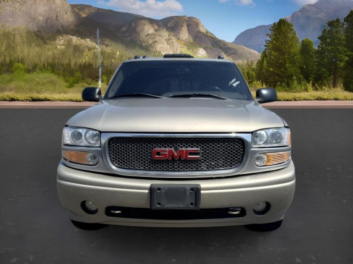 2003 Pewter Metallic /Stone Gray GMC Sierra 1500 (2GTFK69U031) with an Vortec 6L V-8 regular unleaded engine, Automatic transmission, located at 1175 N Woodruff Ave, Idaho Falls, ID, 83401, 43.506901, -111.999657- Photo#7