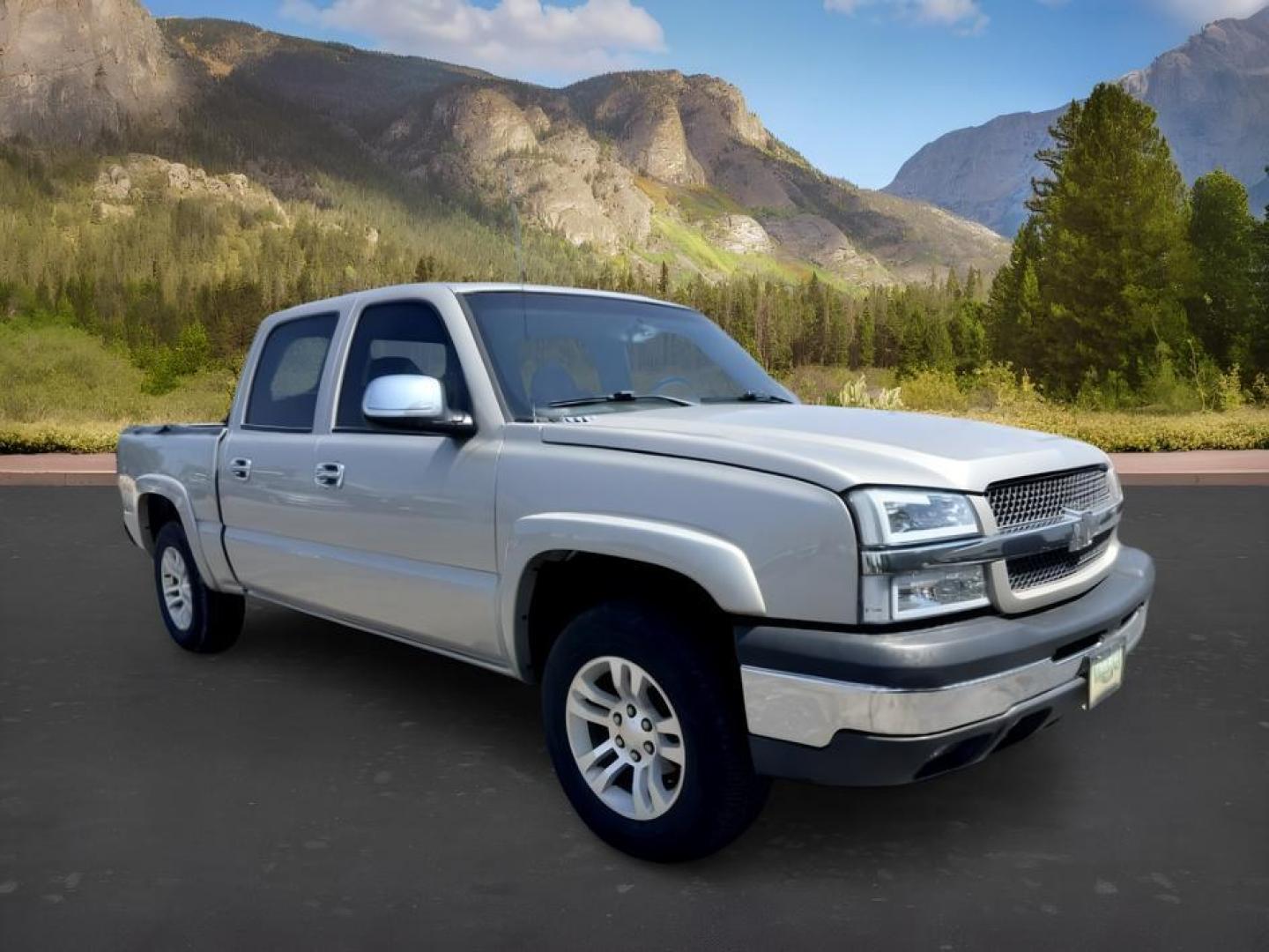 2004 Silver Birch Metallic /Dark Charcoal Chevrolet Silverado 1500 (2GCEK13T341) with an Vortec 53L V-8 regular unleaded engine, Automatic transmission, located at 1175 N Woodruff Ave, Idaho Falls, ID, 83401, 43.506901, -111.999657 - At Timberline Auto, finding a great deal on your next vehicle is always easy! Our experienced sales staff goal is to help find you the right vehicle at the right price! Our knowledgeable finance department has options for almost any credit score. We offer extended service contract options to prot- Photo#6