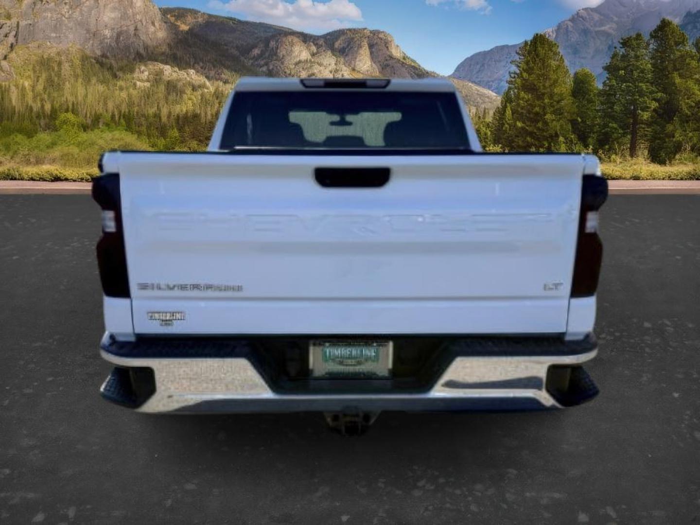 2019 WHITE /CLOTH Chevrolet Silverado 1500 (1GCUYDED5KZ) with an 53L V8 engine, Automatic transmission, located at 1175 N Woodruff Ave, Idaho Falls, ID, 83401, 43.506901, -111.999657 - At Timberline Auto, finding a great deal on your next vehicle is always easy! Our experienced sales staff goal is to help find you the right vehicle at the right price! Our knowledgeable finance department has options for almost any credit score. We offer extended service contract options to prot- Photo#3