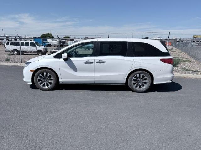 2023 WHITE /Black Honda Odyssey (5FNRL6H65PB) with an 35L V-6 gasoline direct injection engine, Automatic transmission, located at 1175 N Woodruff Ave, Idaho Falls, ID, 83401, 43.506901, -111.999657 - At Timberline Auto, finding a great deal on your next vehicle is always easy! Our experienced sales staff goal is to help find you the right vehicle at the right price! Our knowledgeable finance department has options for almost any credit score. We offer extended service contract options to prot- Photo#1